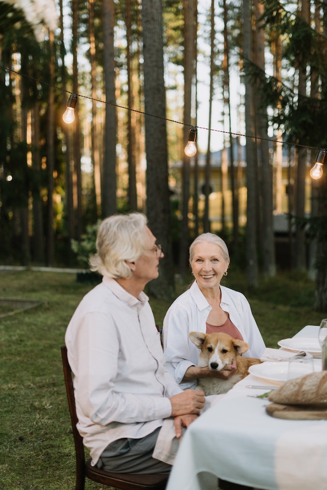 The Many Ways In Which Dogs Are The Perfect Companions For Seniors