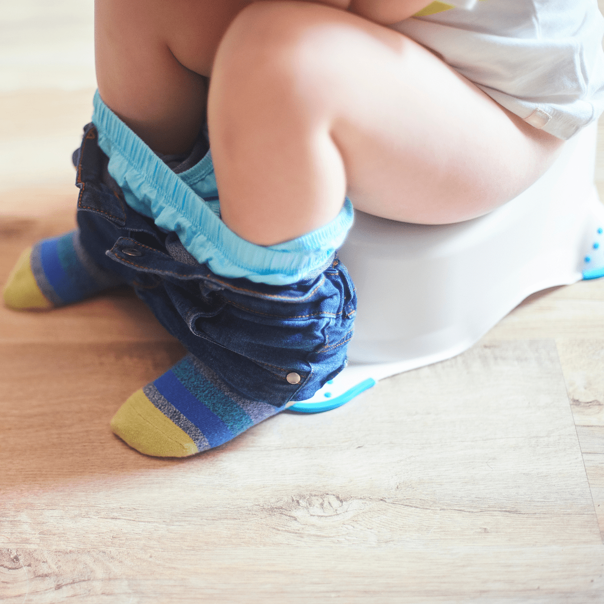 Toddler on a training toilet with pants around their ankles.