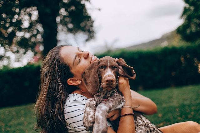 5 Ways Helping Dogs Live Longer, Healthier Lives Is Good For People, Too