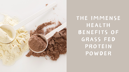The Immense Health Benefits Of Grass Fed Protein Powder
